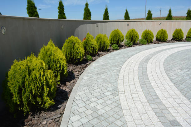 Professional Driveway Pavers in Iraan, TX